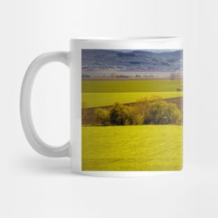 Fields Mug